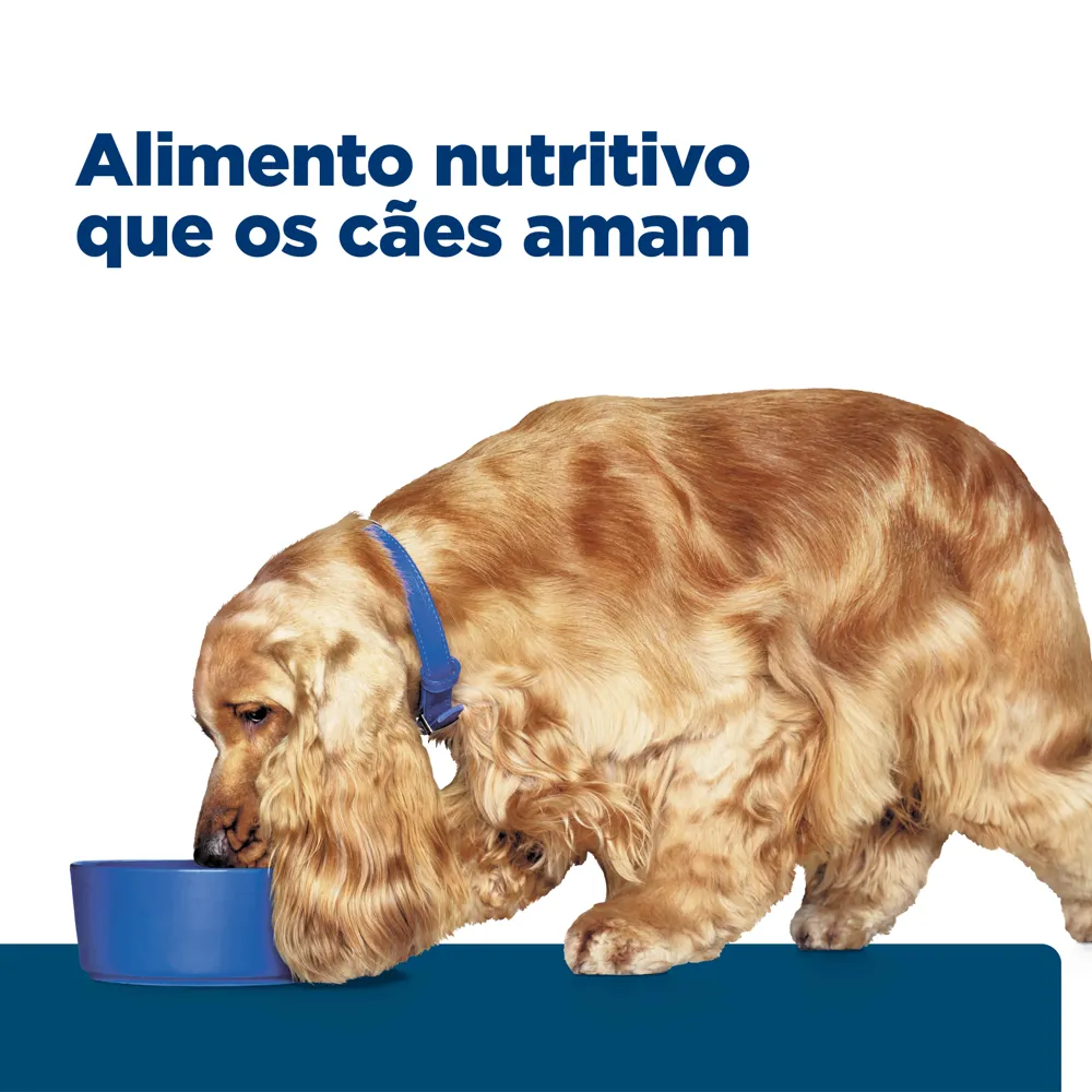 Ração Úmida Hill's Prescription Diet Z/D Cães Adultos Alergias Alimentares e da Pele — foto 4