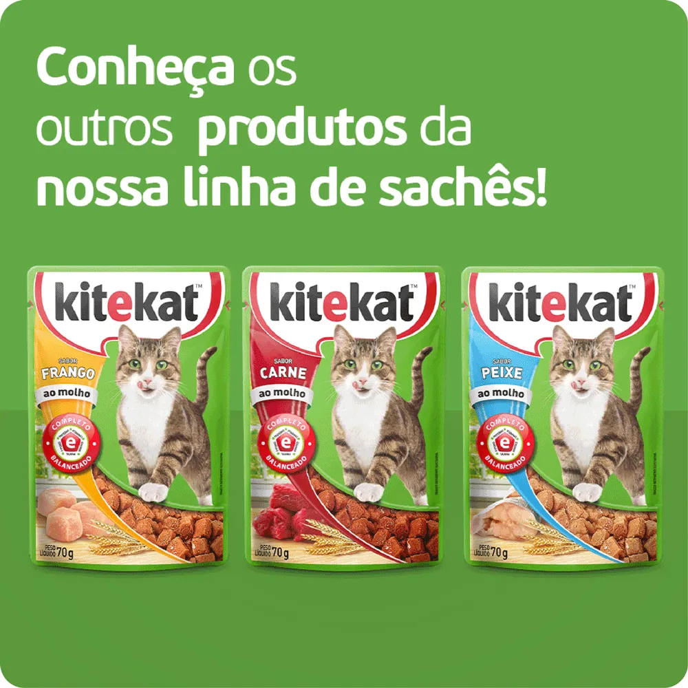 Ração Úmida KiteKat Sachê para Gatos Adultos Carne ao Molho — foto 6