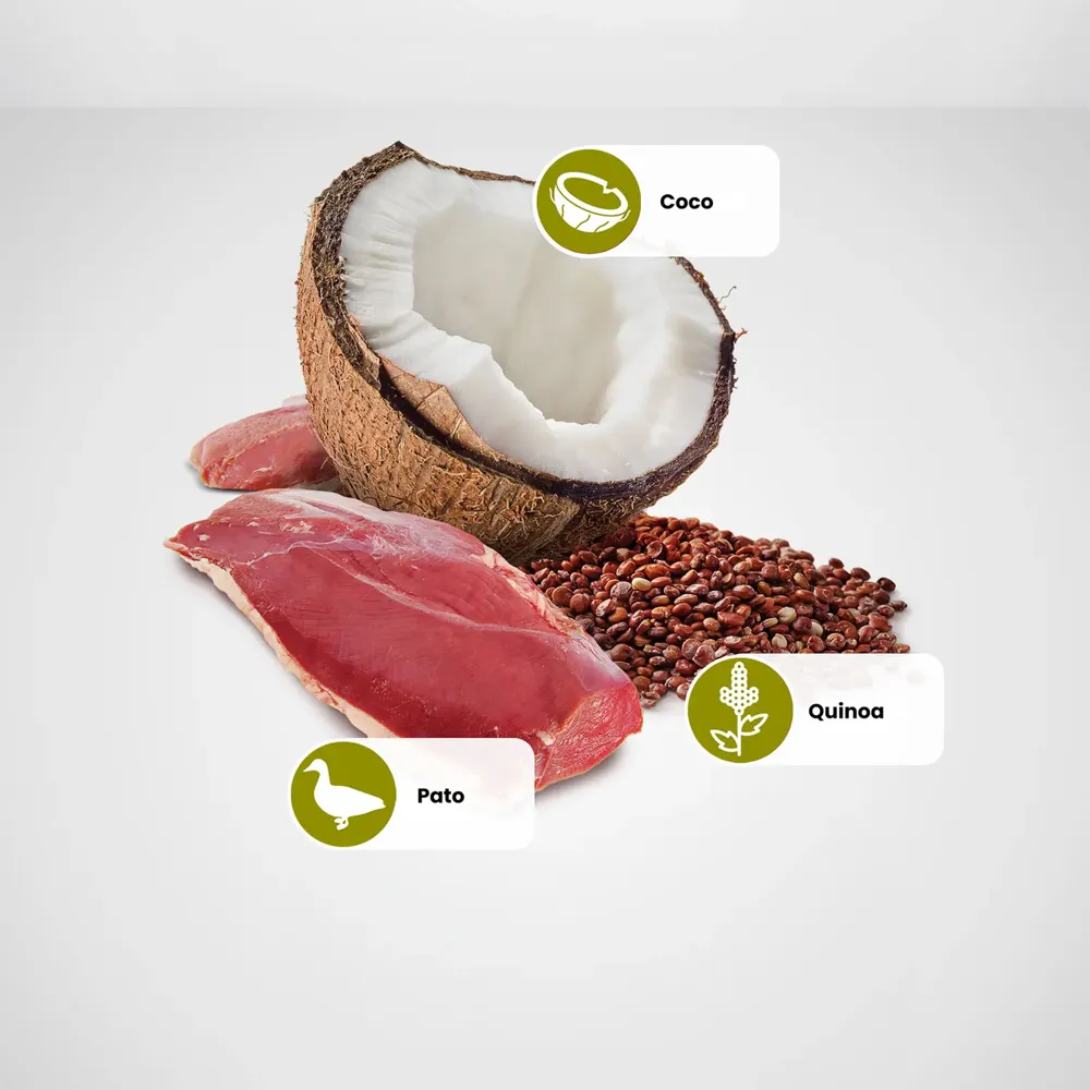 Ração Úmida N&D Quinoa Cães Skin e Coat Pato — foto 5