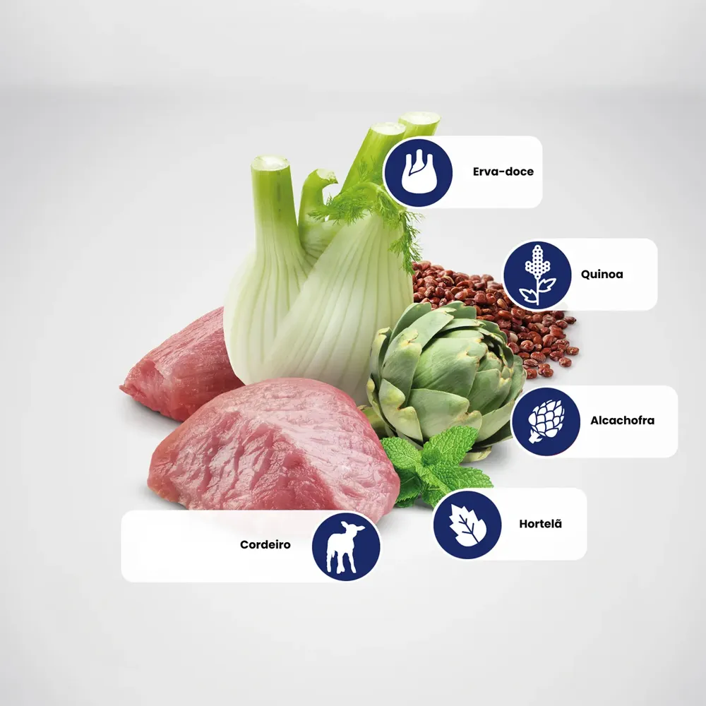 Ração Úmida N&D Quinoa Cães Digestion — foto 5