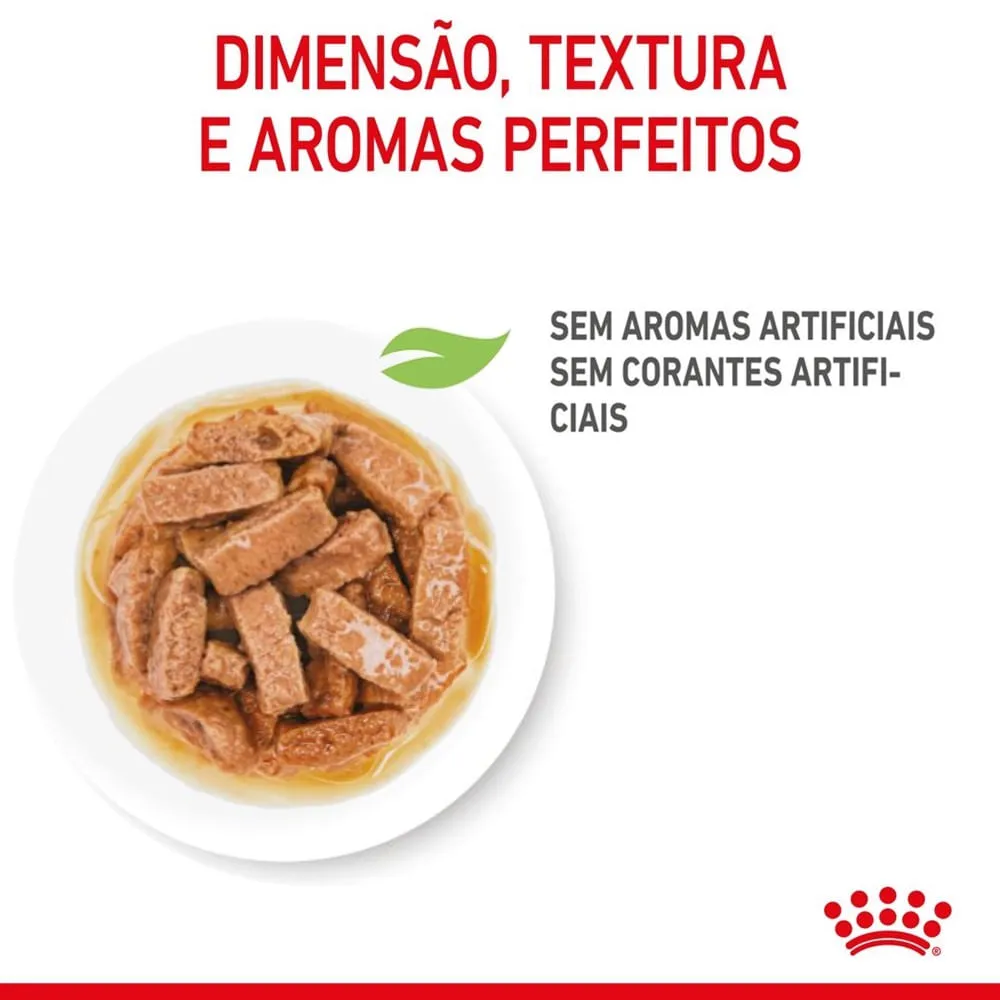 Ração Úmida Royal Canin Medium Puppy Cães Filhotes — foto 4