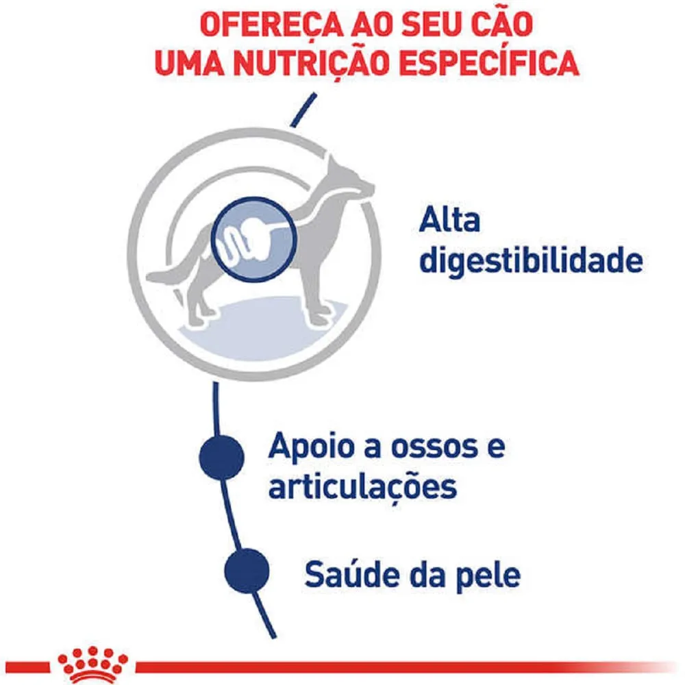 Ração Úmida Royal Canin Sachê Maxi Adult Cães Adultos — foto 2