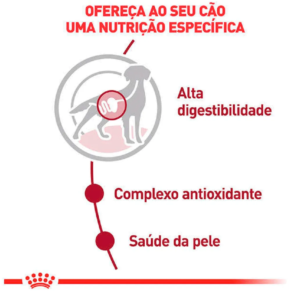 Ração Úmida Royal Canin Medium Adult Cães Adultos — foto 3