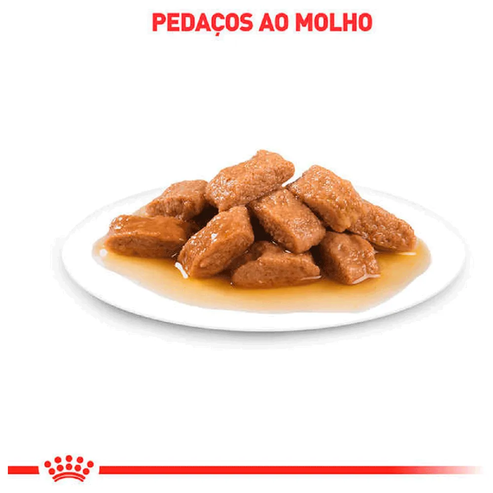 Ração Úmida Royal Canin Medium Adult Cães Adultos — foto 4