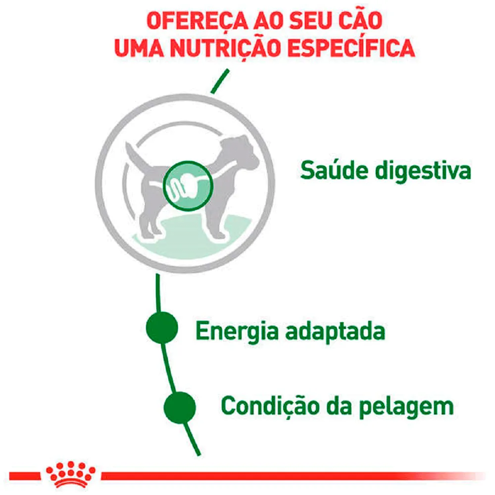 Ração Úmida Royal Canin Mini Adult Cães Adultos — foto 3