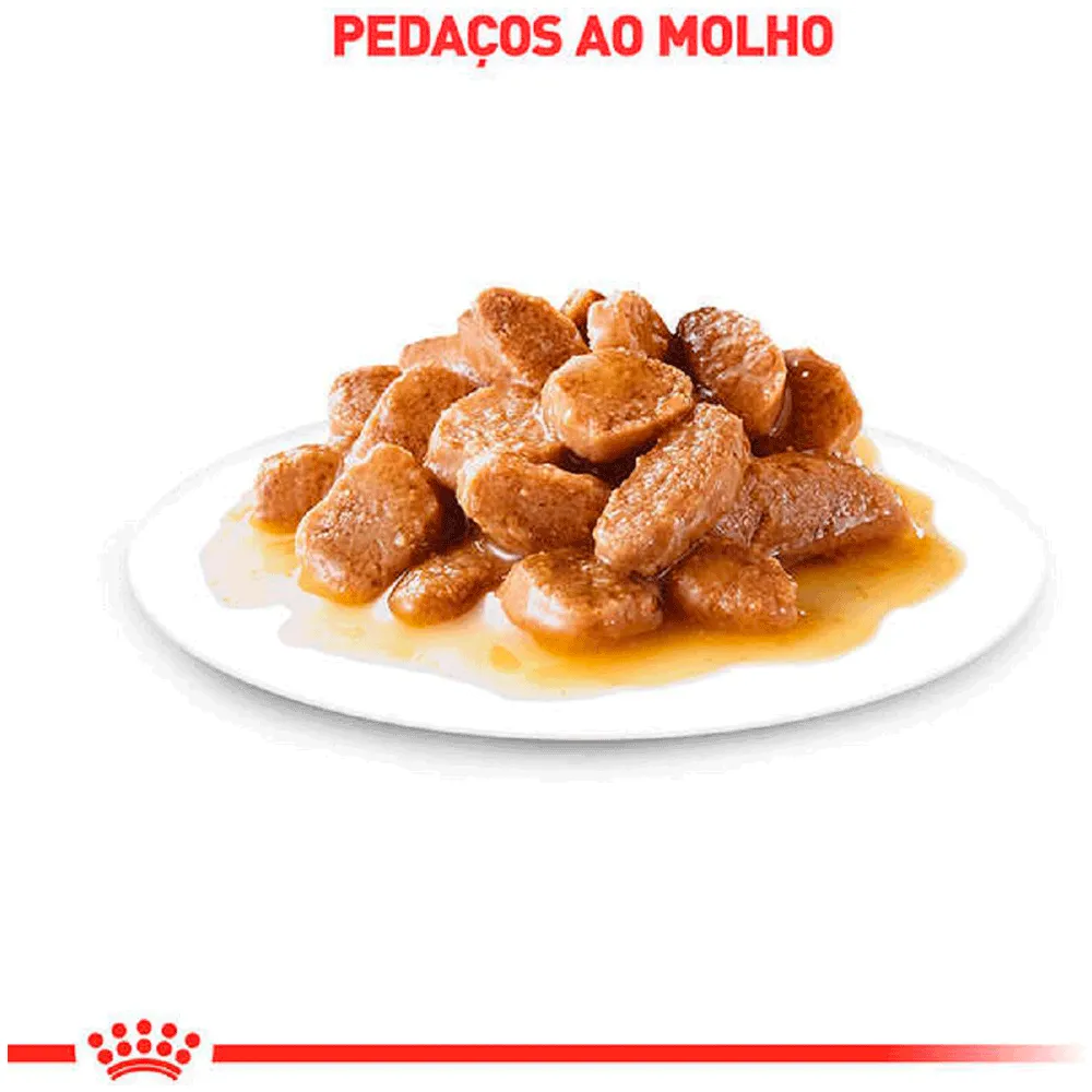 Ração Úmida Royal Canin Mini Adult Cães Adultos — foto 4