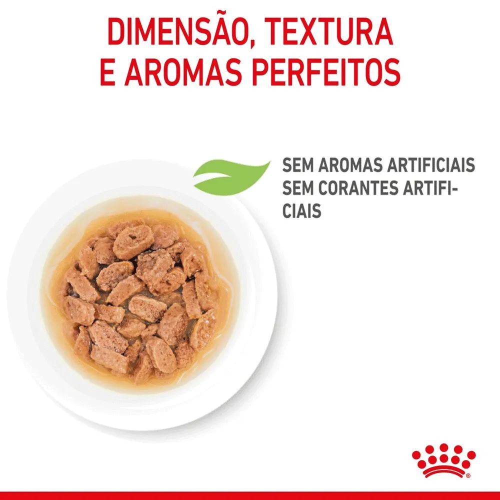 Ração Úmida Royal Canin Mini Puppy Cães Filhotes — foto 4