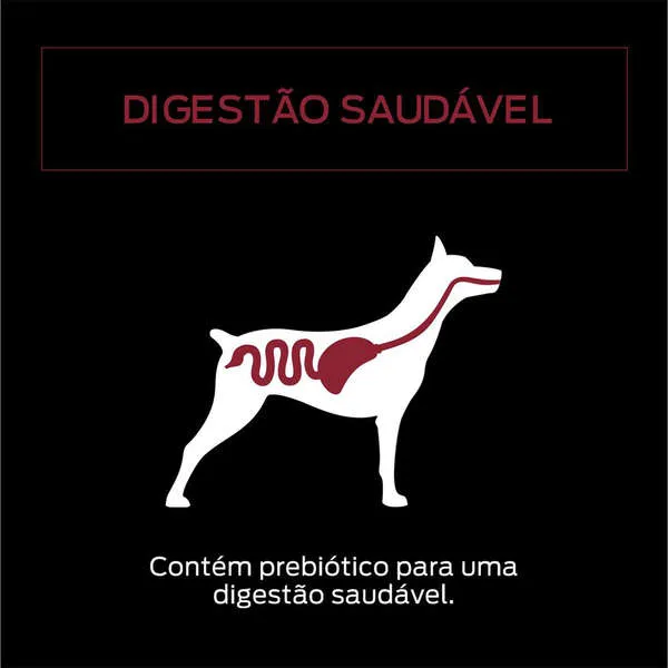 Ração Úmida Pro Plan Cães Adultos 1+ Carne ao Molho — foto 4