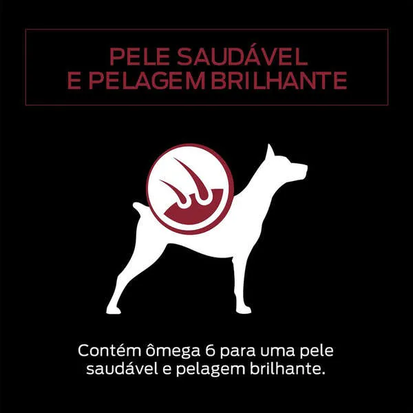 Ração Úmida Pro Plan Cães Adultos 1+ Carne ao Molho — foto 5