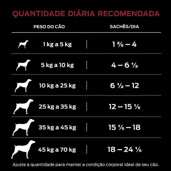 Ração Úmida Pro Plan Cães Adultos 1+ Carne ao Molho — foto 6