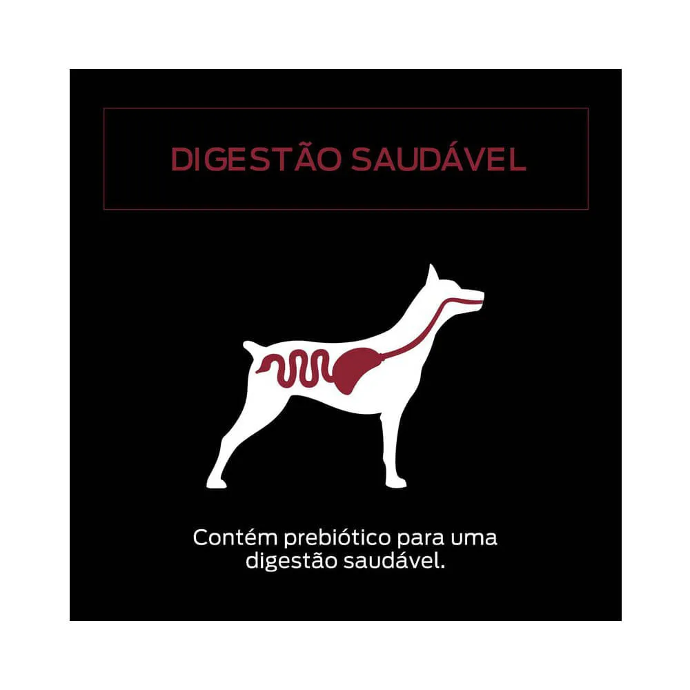 Ração Úmida Pro Plan Cães Adultos 1+ Frango ao Molho — foto 5
