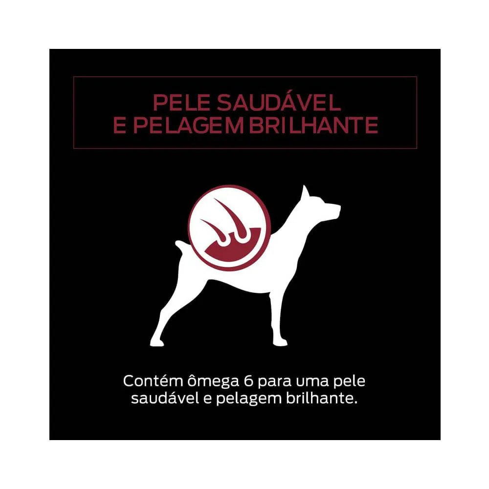 Ração Úmida Pro Plan Cães Adultos 1+ Frango ao Molho — foto 6