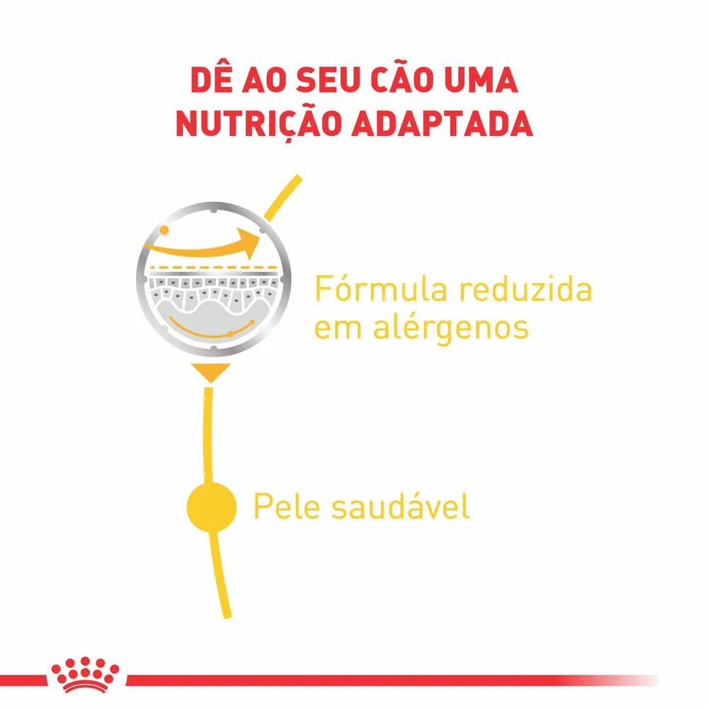 Ração Úmida Royal Canin Dermacomfort Cães Adultos — foto 2