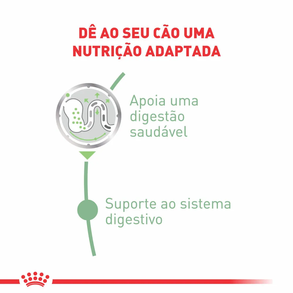 Ração Úmida Royal Canin Cuidado Digestivo Cães Adultos — foto 2