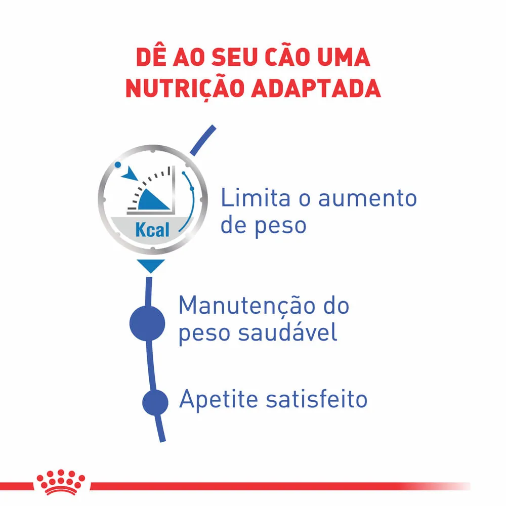 Ração Úmida Royal Canin Light Weight Care Cães Adultos — foto 2