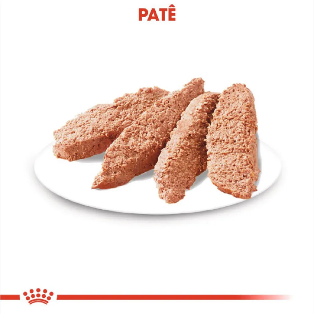 Ração Úmida Royal Canin Light Weight Care Cães Adultos — foto 3