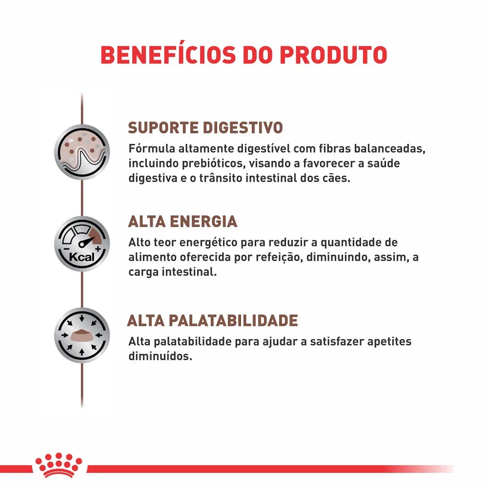 Ração Úmida Royal Canin Gastrointestinal Cães Adultos — foto 2