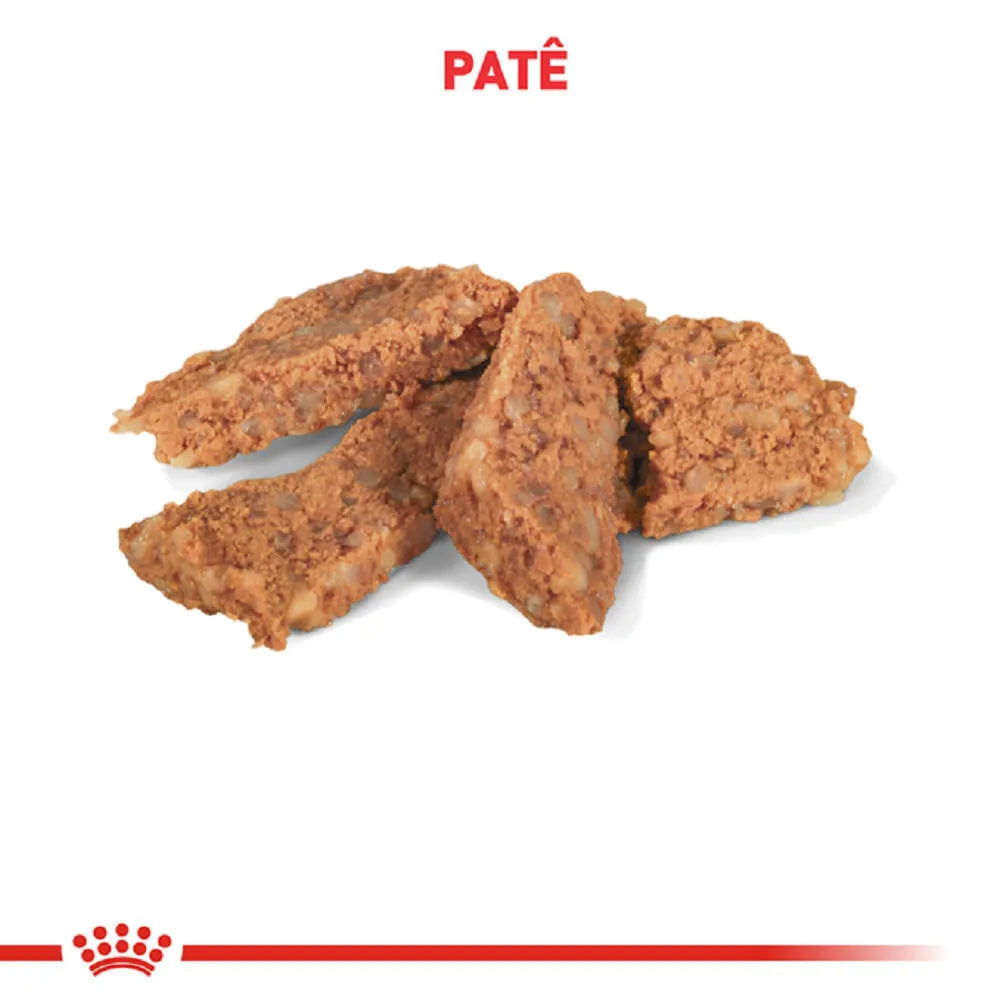 Ração Úmida Royal Canin Hepatic Cães Adultos — foto 3