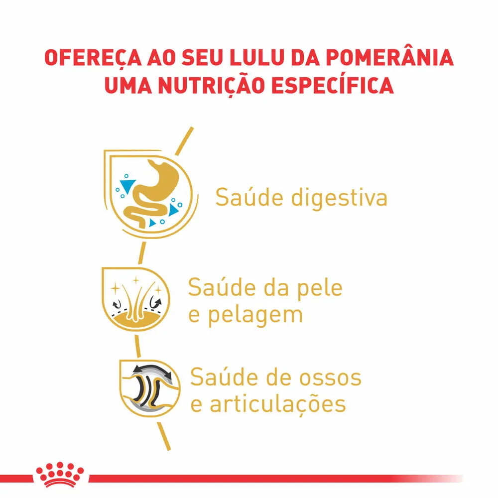 Ração Úmida Royal Canin Pomeranian Cães Adultos — foto 2