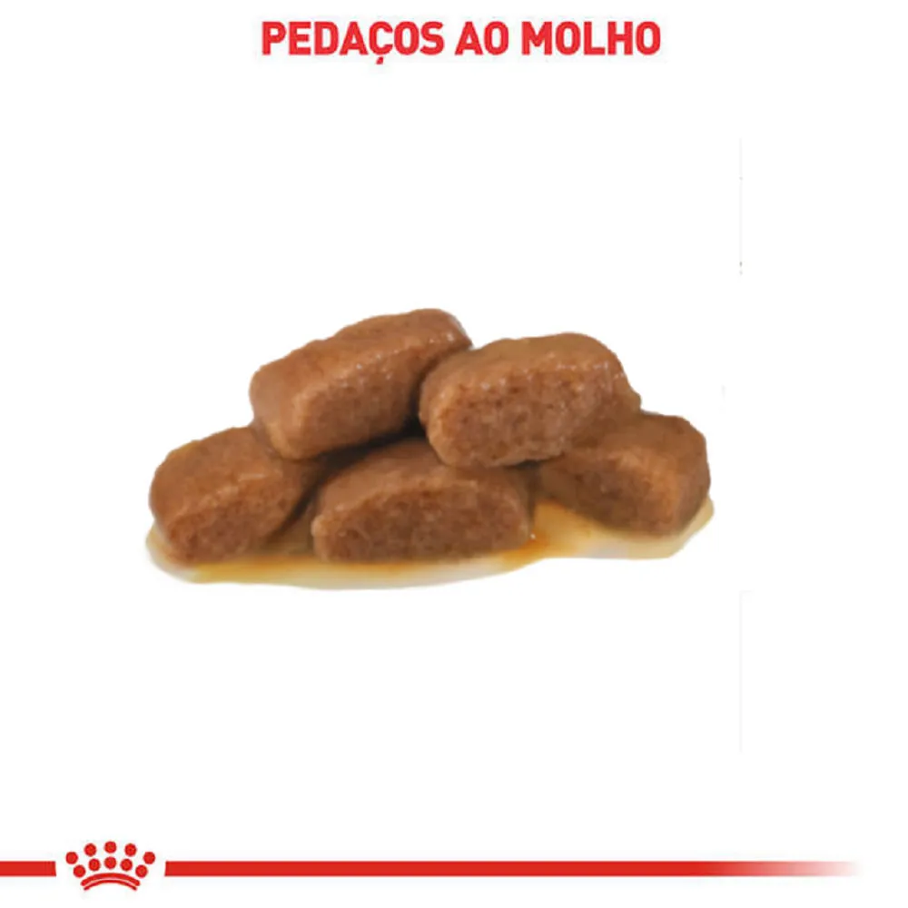 Ração Úmida Royal Canin Satiety Gatos Adultos — foto 3