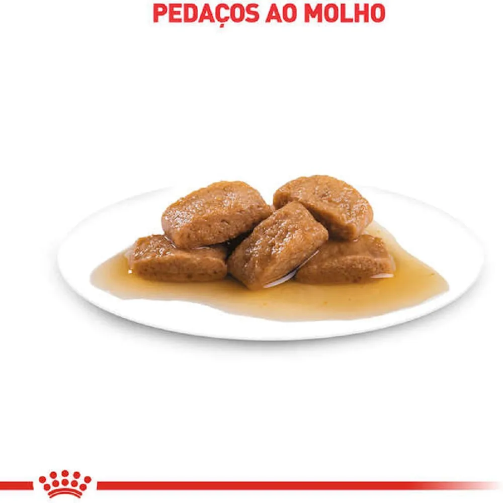 Ração Úmida Royal Canin Urinary S/O Gatos Adultos — foto 3