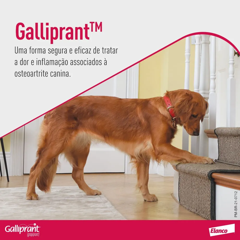Galliprant 100mg Anti-inflamatório para Cachorro — foto 2