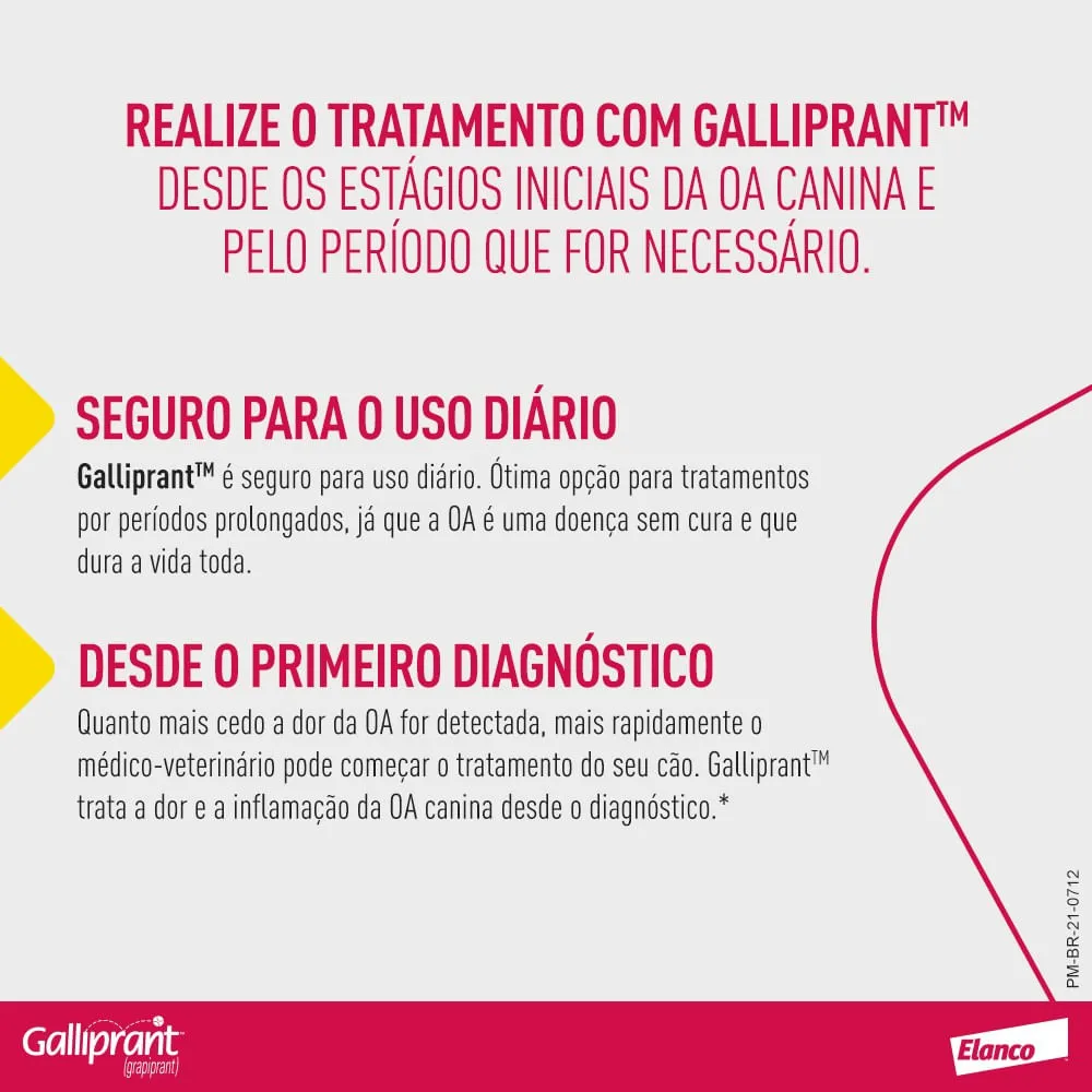 Galliprant 100mg Anti-inflamatório para Cachorro — foto 3