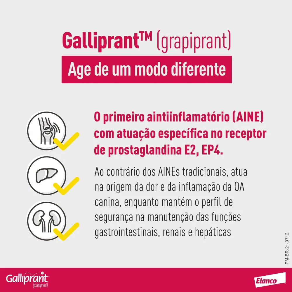 Galliprant 100mg Anti-inflamatório para Cachorro — foto 5