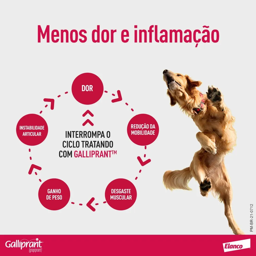 Galliprant 100mg Anti-inflamatório para Cachorro — foto 6