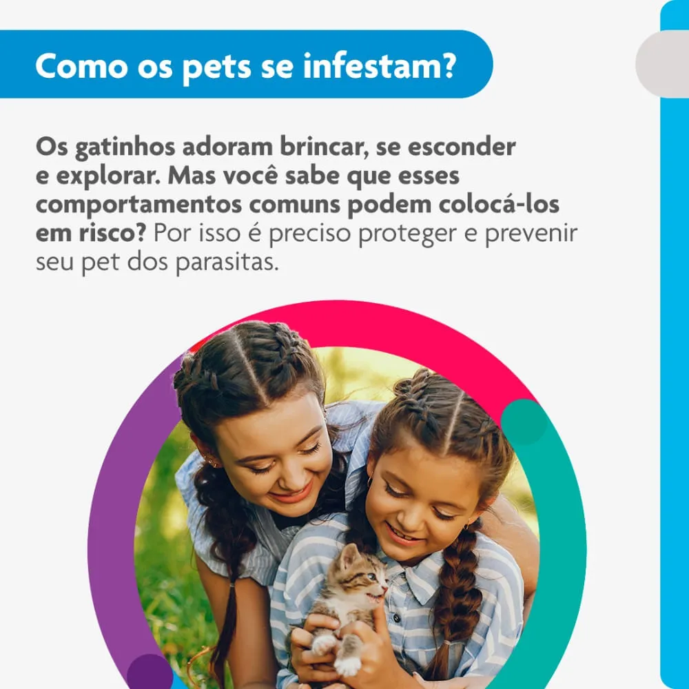 Antipulgas Bravecto Plus Gatos 1,2 a 2,8 kg — foto 5