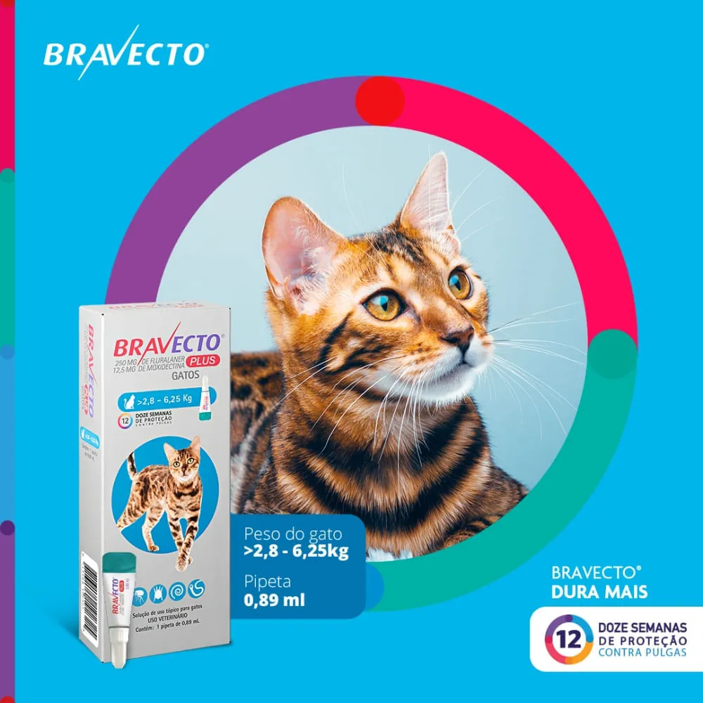 Antipulgas Bravecto Plus Gatos 2,8 a 6,25kg — foto 3