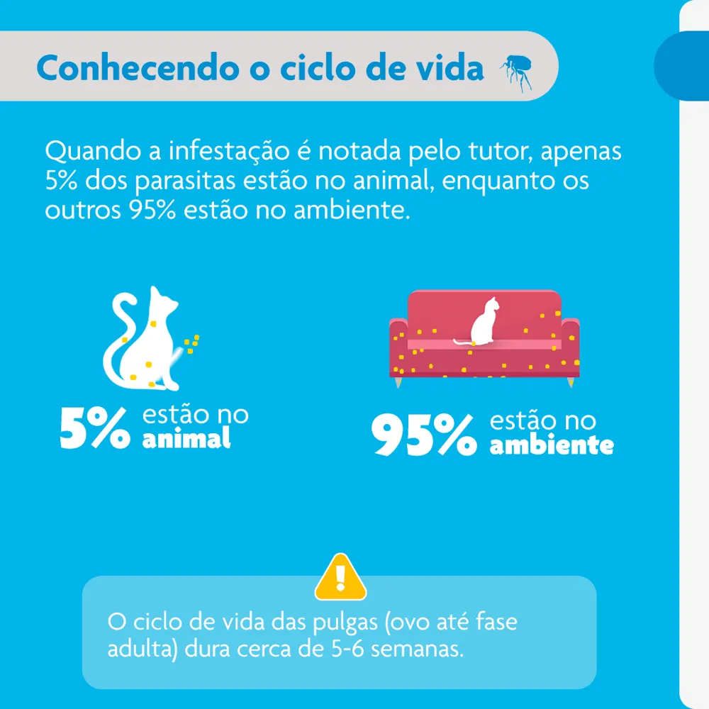 Antipulgas Bravecto Plus Gatos 2,8 a 6,25kg — foto 6