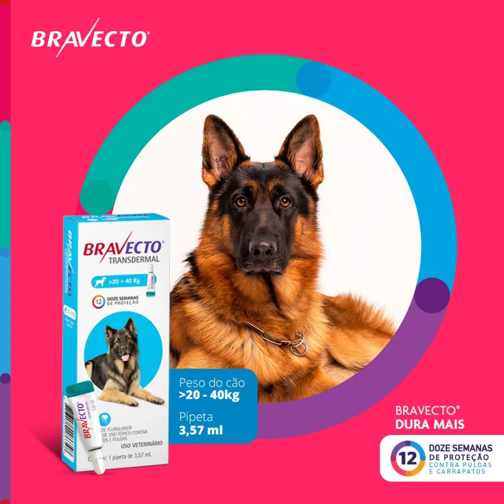 Antipulgas Bravecto Transdermal Cães 20 a 40 kg — foto 3