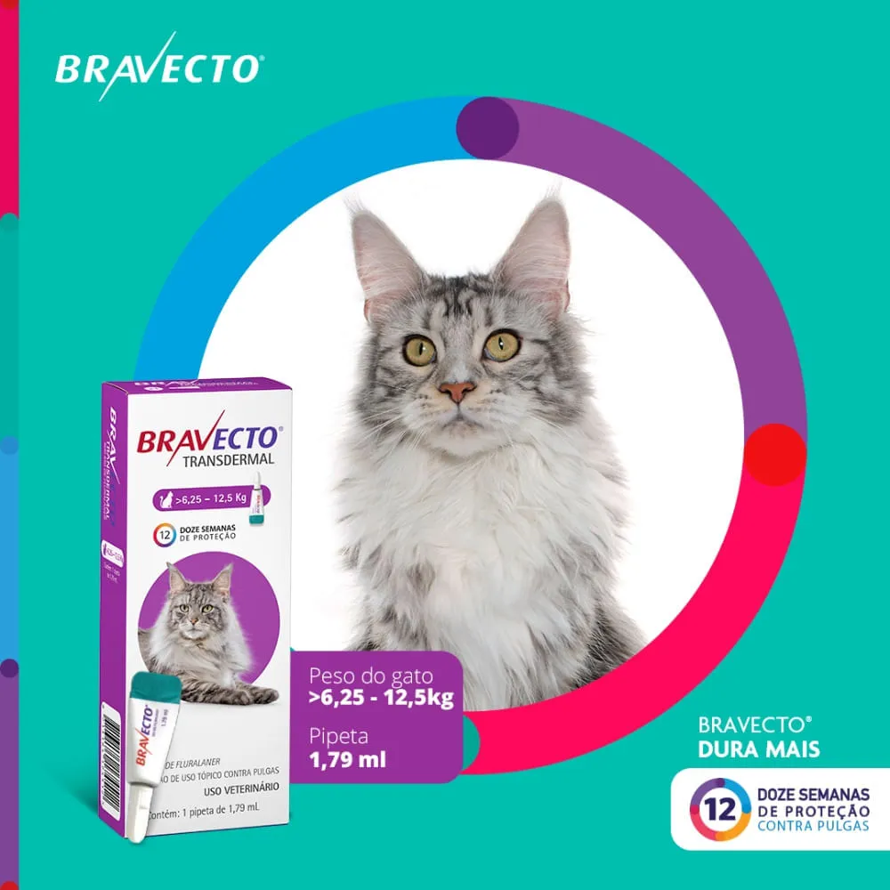 Antipulgas Bravecto Transdermal Gatos 6,25 a 12,5kg — foto 3