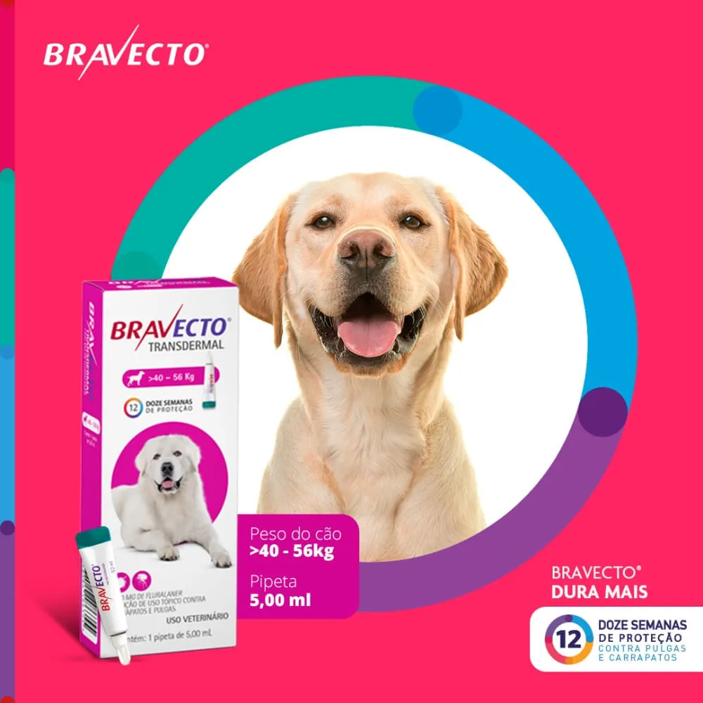 Antipulgas Bravecto Transdermal Cães 40 a 56 kg — foto 3