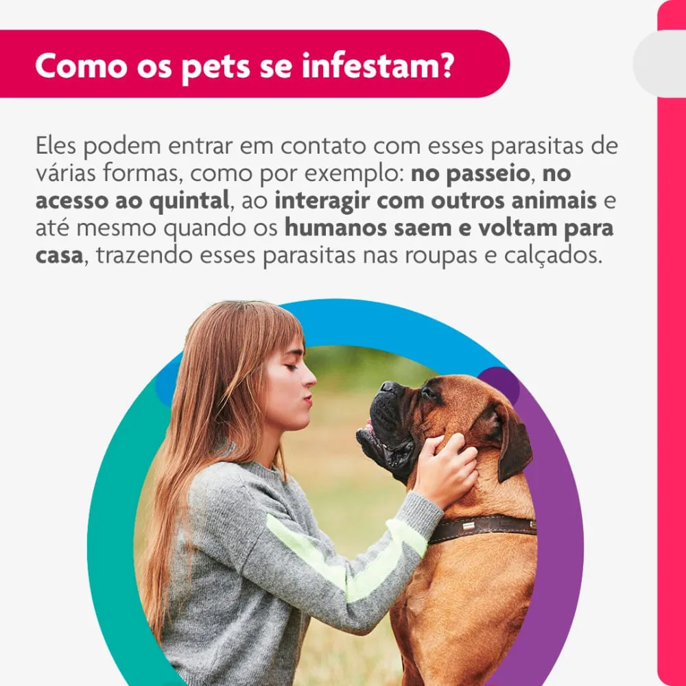 Antipulgas Bravecto Transdermal Cães 40 a 56 kg — foto 5