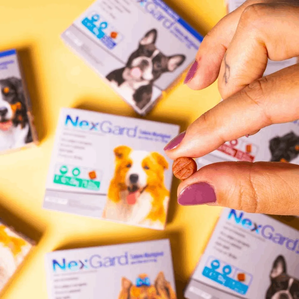 Nexgard Antipulgas e Carrapatos para Cachorros de 2 a 4kg — foto 5