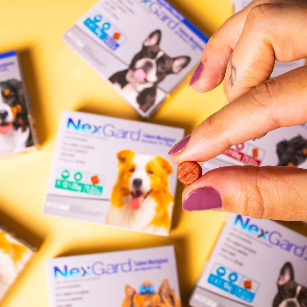 NexGard Antipulgas e Carrapatos de 4,1 a 10kg para Cães — foto 6