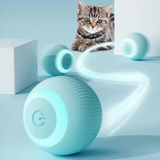Bola Elétrica para o seu Pet — foto 2