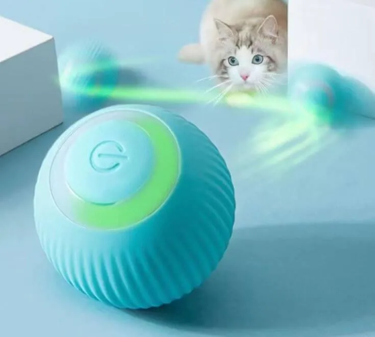 Bola Elétrica para o seu Pet — foto 3