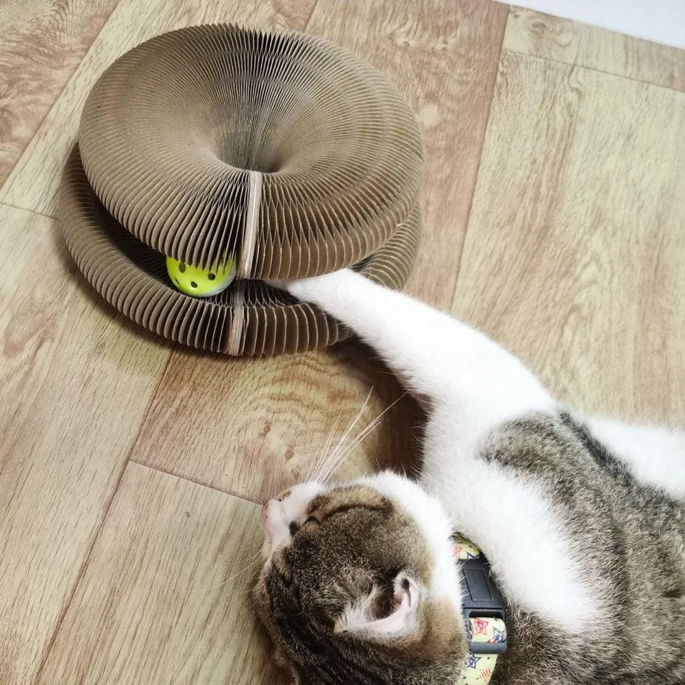 Brinquedo Interativo Para Gatos I Cat Joy + 1 Bola de Brinde — foto 4