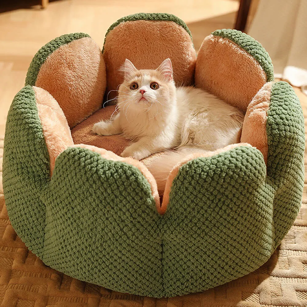 Cama confortável para animais de estimação em formato de cacto — foto 2