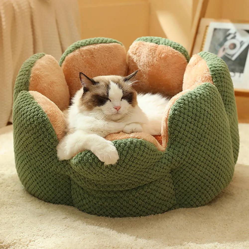 Cama confortável para animais de estimação em formato de cacto — foto 5