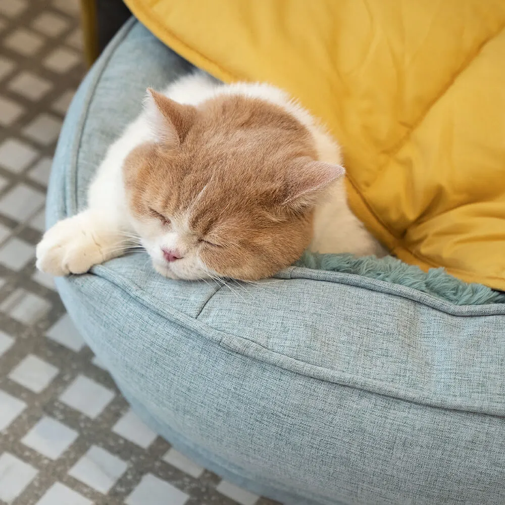 Cama Ortopédica Fofa para Cachorro Donut — foto 3