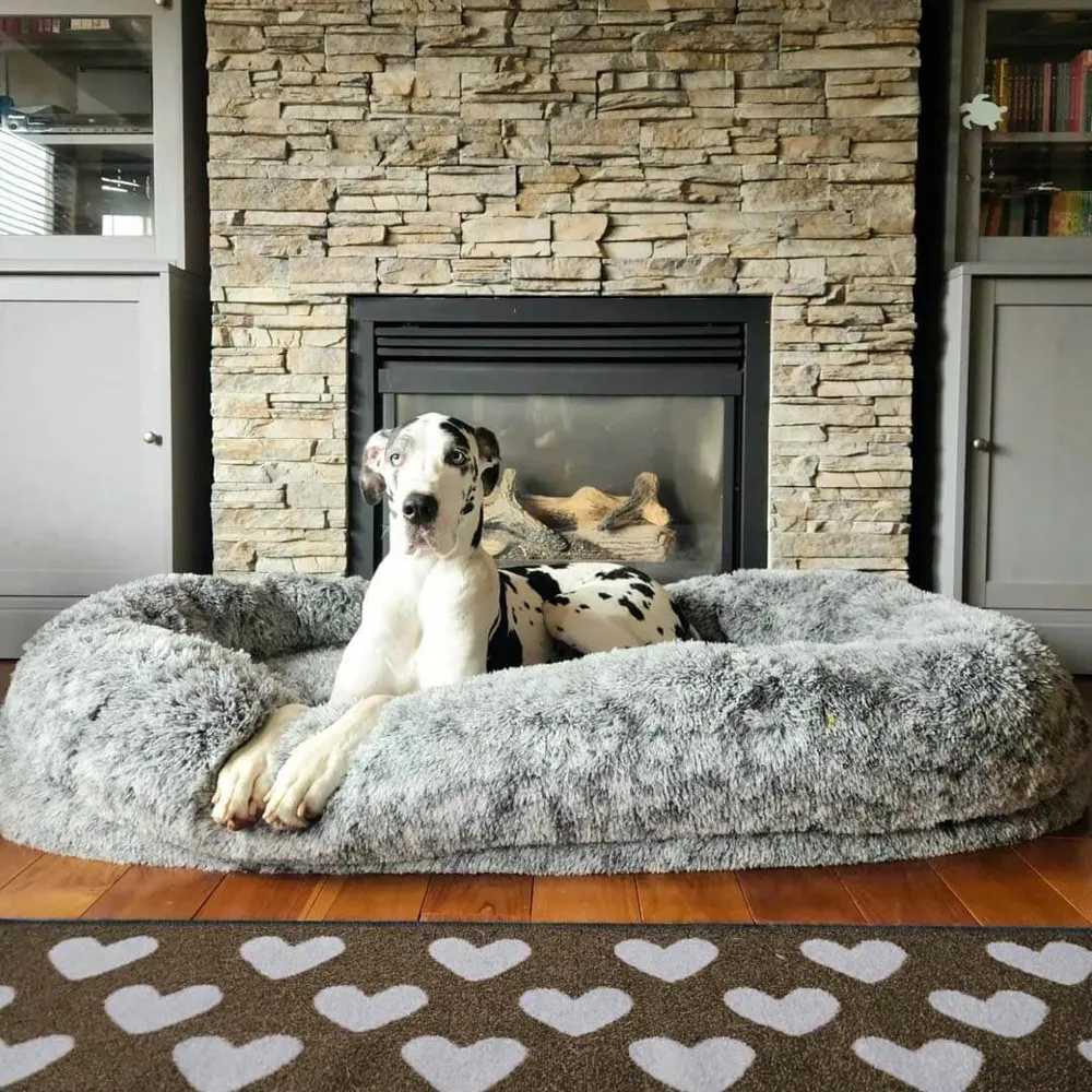 Cama Oval Luxuosa Super Grande para um Sono mais Profundo Cama para Cães e Pessoas — foto 2