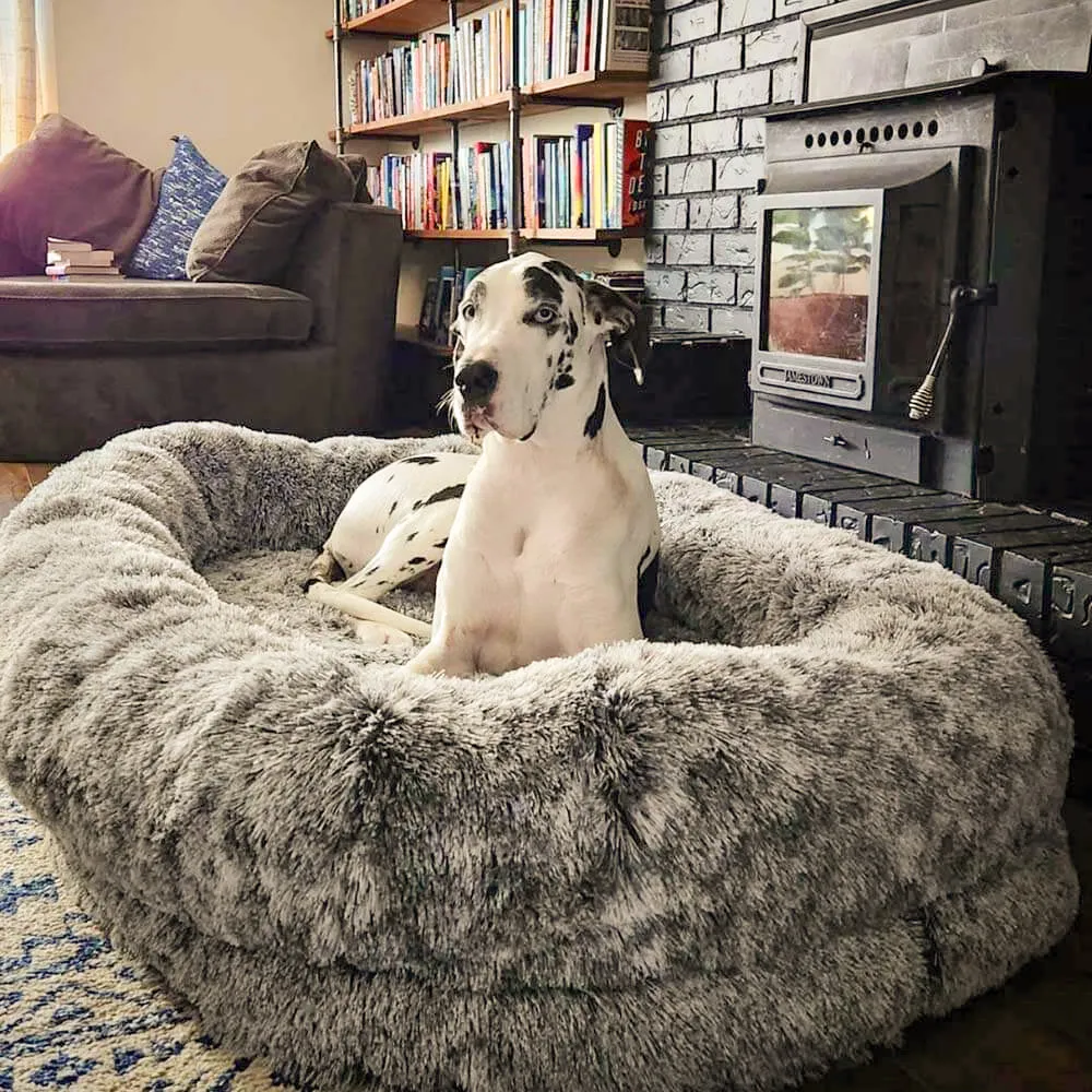 Cama Oval Luxuosa Super Grande para um Sono mais Profundo Cama para Cães e Pessoas — foto 5