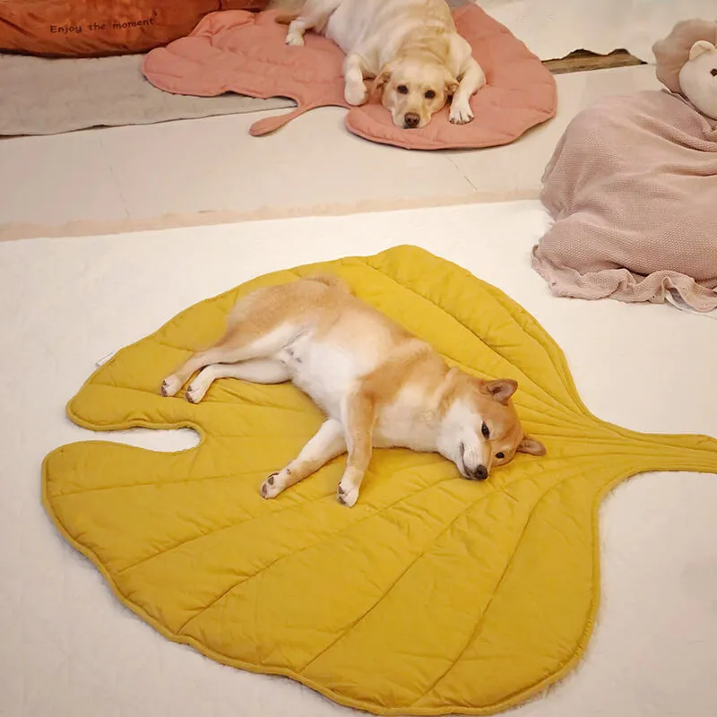 Cobertor para Cachorro em Formato de Folha