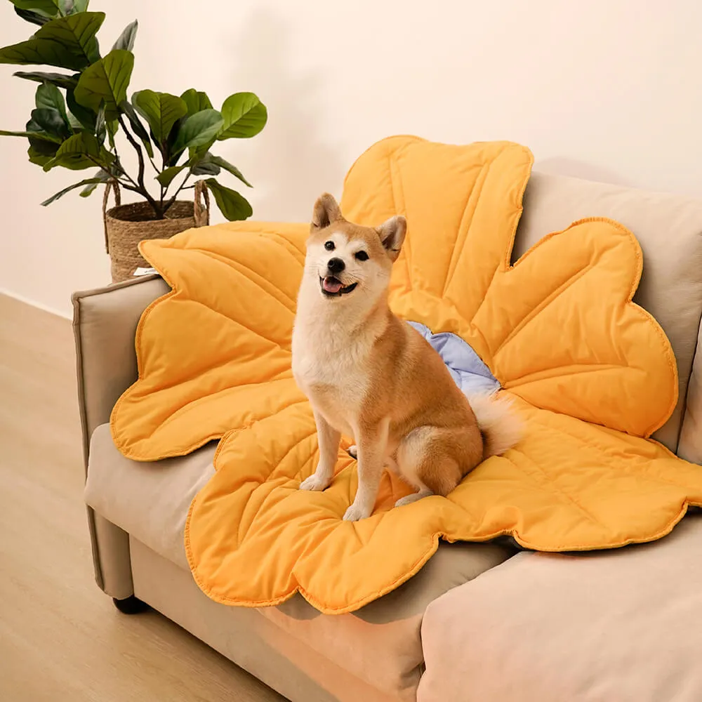 Cobertor para Cachorro ou Tapete para Pessoas Super Grande em Forma de Flor — foto 3