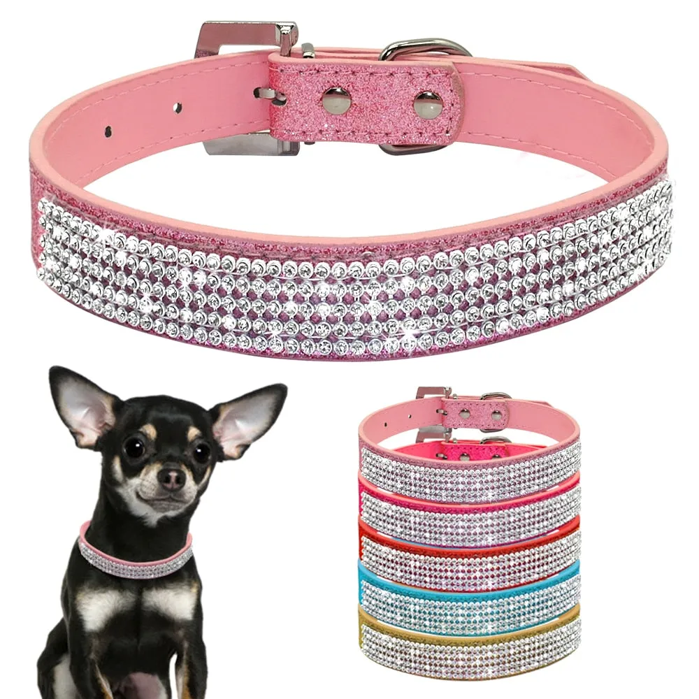 Coleira Diamond | Para Cachorro