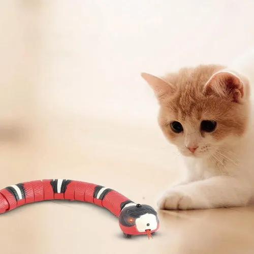 Kit Brinquedos Cobra + Pássaro + Bola Elétricos para Gatos — foto 2